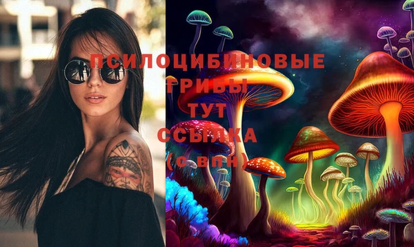 2c-b Липки