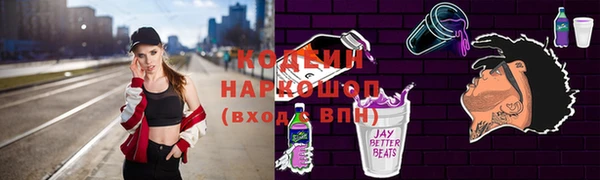 дмт Каменка