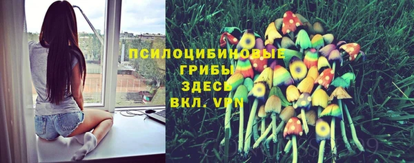 гидропоника Лагань