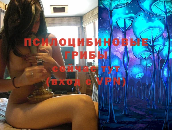 2c-b Липки