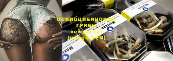 гидропоника Лагань
