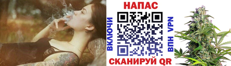 Каннабис THC 21%  закладка  hydra ONION  маркетплейс официальный сайт  Новая Ладога 